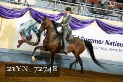 21YN_72748 thumbnail