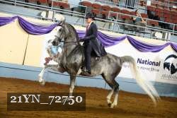 21YN_72750 thumbnail