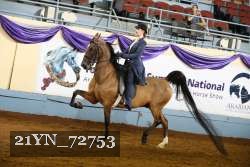 21YN_72753 thumbnail