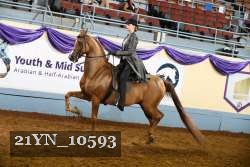 21YN_10593 thumbnail