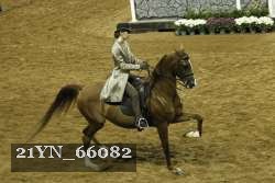 21YN_66082 thumbnail