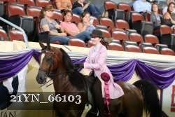21YN_66103 thumbnail