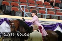 21YN_66104 thumbnail