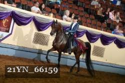 21YN_66159 thumbnail