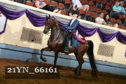 21YN_66161 thumbnail