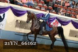 21YN_66162 thumbnail