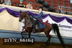 21YN_66164 thumbnail