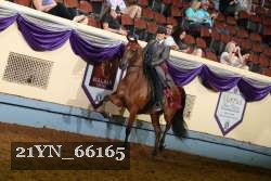 21YN_66165 thumbnail
