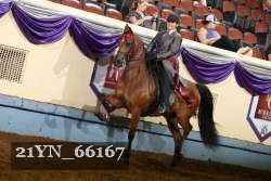 21YN_66167 thumbnail