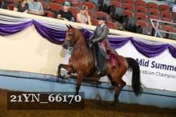 21YN_66170 thumbnail