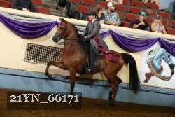21YN_66171 thumbnail
