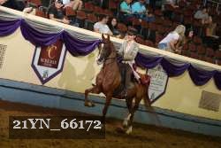 21YN_66172 thumbnail