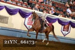 21YN_66173 thumbnail