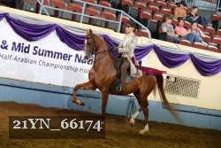 21YN_66174 thumbnail