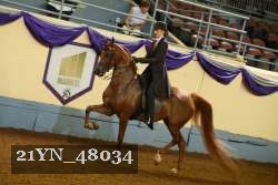 21YN_48034 thumbnail