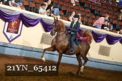 21YN_65412 thumbnail