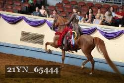 21YN_65444 thumbnail
