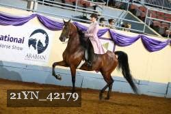 21YN_42179 thumbnail
