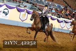 21YN_42252 thumbnail