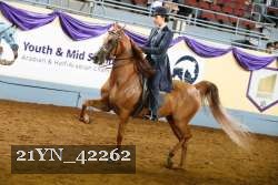 21YN_42262 thumbnail