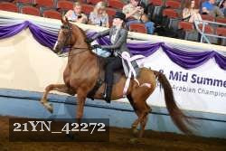 21YN_42272 thumbnail
