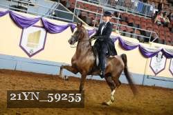 21YN_59255 thumbnail