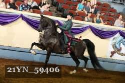 21YN_59406 thumbnail