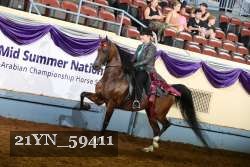 21YN_59411 thumbnail