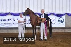 21YN_28302 thumbnail