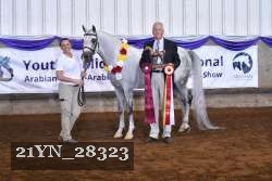 21YN_28323 thumbnail