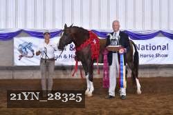 21YN_28325 thumbnail