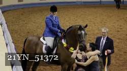 21YN_51372 thumbnail