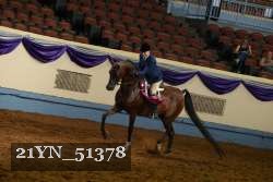 21YN_51378 thumbnail