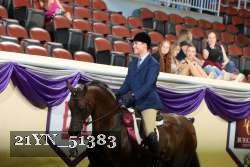 21YN_51383 thumbnail