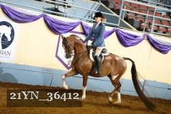 21YN_36412 thumbnail