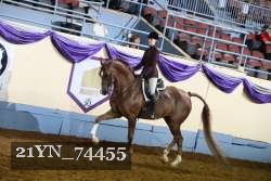 21YN_74455 thumbnail