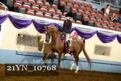 21YN_10768 thumbnail