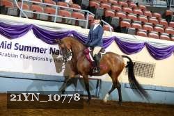 21YN_10778 thumbnail