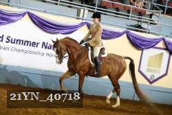 21YN_40718 thumbnail