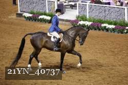 21YN_40737 thumbnail