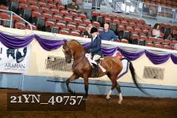 21YN_40757 thumbnail