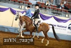 21YN_72278 thumbnail