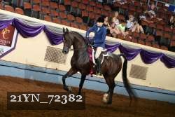 21YN_72382 thumbnail