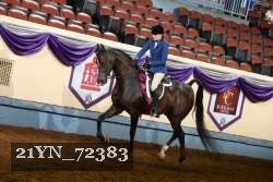 21YN_72383 thumbnail
