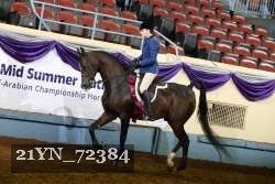21YN_72384 thumbnail