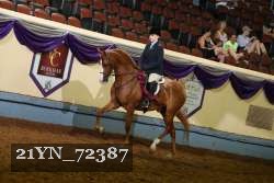 21YN_72387 thumbnail