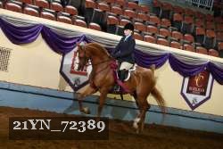 21YN_72389 thumbnail