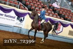 21YN_72396 thumbnail
