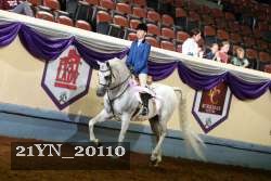 21YN_20110 thumbnail
