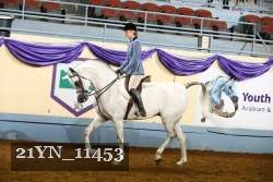 21YN_11453 thumbnail